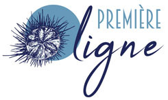 M&A Promotion