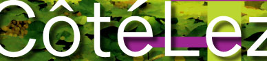 M&A Promotion