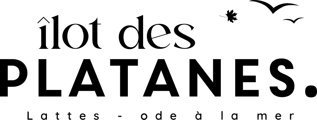 M&A Promotion